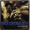 bo diddley: a man amongst men (coloured)