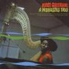 alice coltrane: a monastic trio
