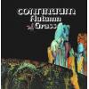 continuum: autumn grass