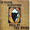 13th floor elevators: bull of the woods