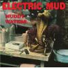 muddy waters: electric mud