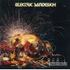 electric sandwich: electric sandwich