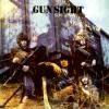 gun: gunsight