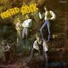earthen vessel: hard rock (coloured)