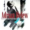 adrian belew: live at the paradise theater boston