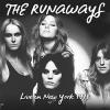 the runaways: live in new york 1978