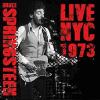 bruce springsteen: live nyc 1973