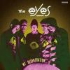 the eyes: my degeneration
