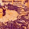 notaro: no sub reino dos metazoarios