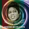 james brown: remixing mister brown