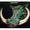 navasota: rootin'