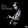 roy buchanan: roy buchanan