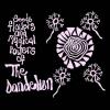 the dandelion: seeds, flowers & magical powers of (coloured)