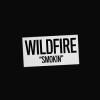 wildfire: smokin'(2025 edition)