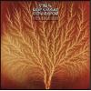van der graaf generator: still life