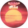 sunbirds: sunbirds (picture dIsc)