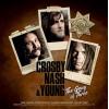 crosby, nash & young: the gang of three (clear)