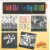 various: there goes the neighborhood vol.3 featuring the sting rays, the apollos, the mad hatters, the briks