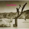 tonton macoute: tonton macoute