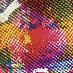 the litter: $100 fine