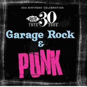 various: 30th birthday sampler ~garage beat & punk rock
