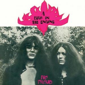 pip proud: a bird in the engine