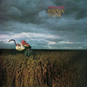 depeche mode: a broken frame