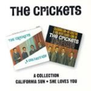the crickets: a collection/california sun - she loves you
