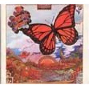 a passing fancy: a passing fancy