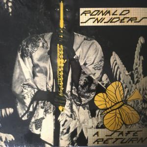 ronald snijders: a safe return