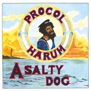 procol harum: a salty dog