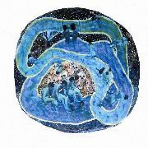 life on earth!: a space water loop