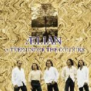 aelian: a tree under the colours