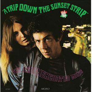 leathercoated minds: a trip down to sunset strip