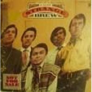 brew: a very strange brew