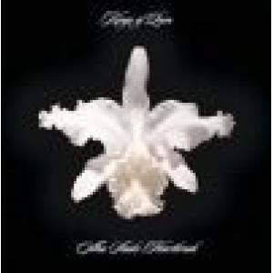 kings of leon: aha shake heartbreak +1