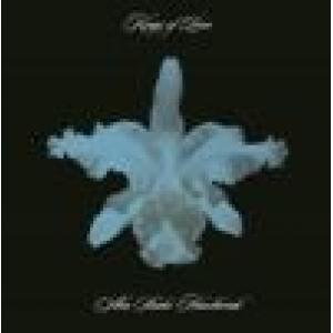 kings of leon: aha shake heartbreak +1