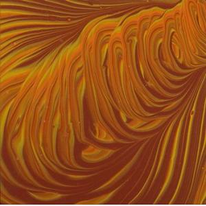 sammal: aika laulaa (orange)