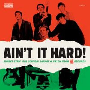 various: ain't it hard! garage & psych from viva records