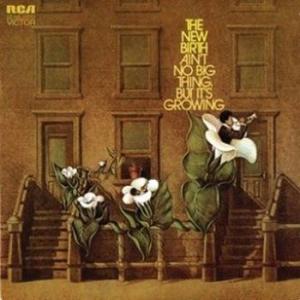 new birth: ain't no big thing, but it's growing