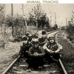 animals: animal tracks