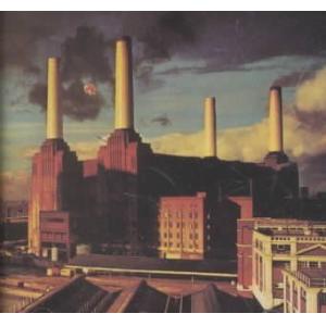 pink floyd: animals