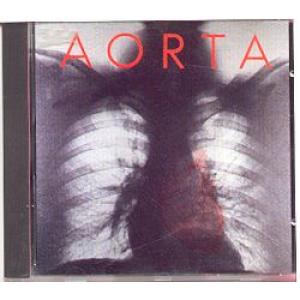 aorta: aorta