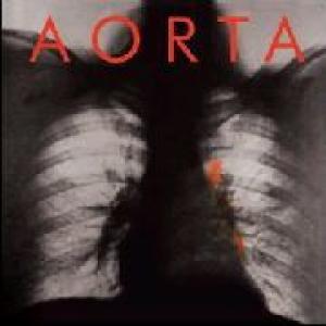 aorta: aorta