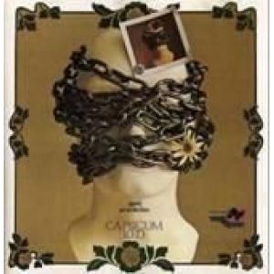 capsicum red: appunti per una idea fissa (yellow vinyl)