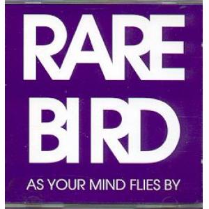 rare bird: as your mind flies by