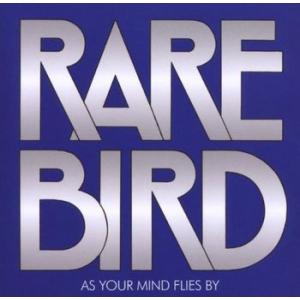 rare bird: as your mind flies by