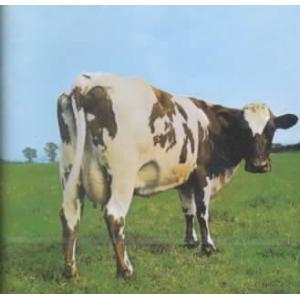 pink floyd: atom heart mother
