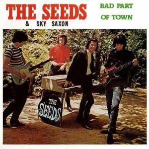 the seeds and sky saxon: bad part of town