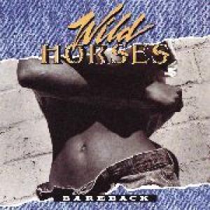 wild horses: bareback